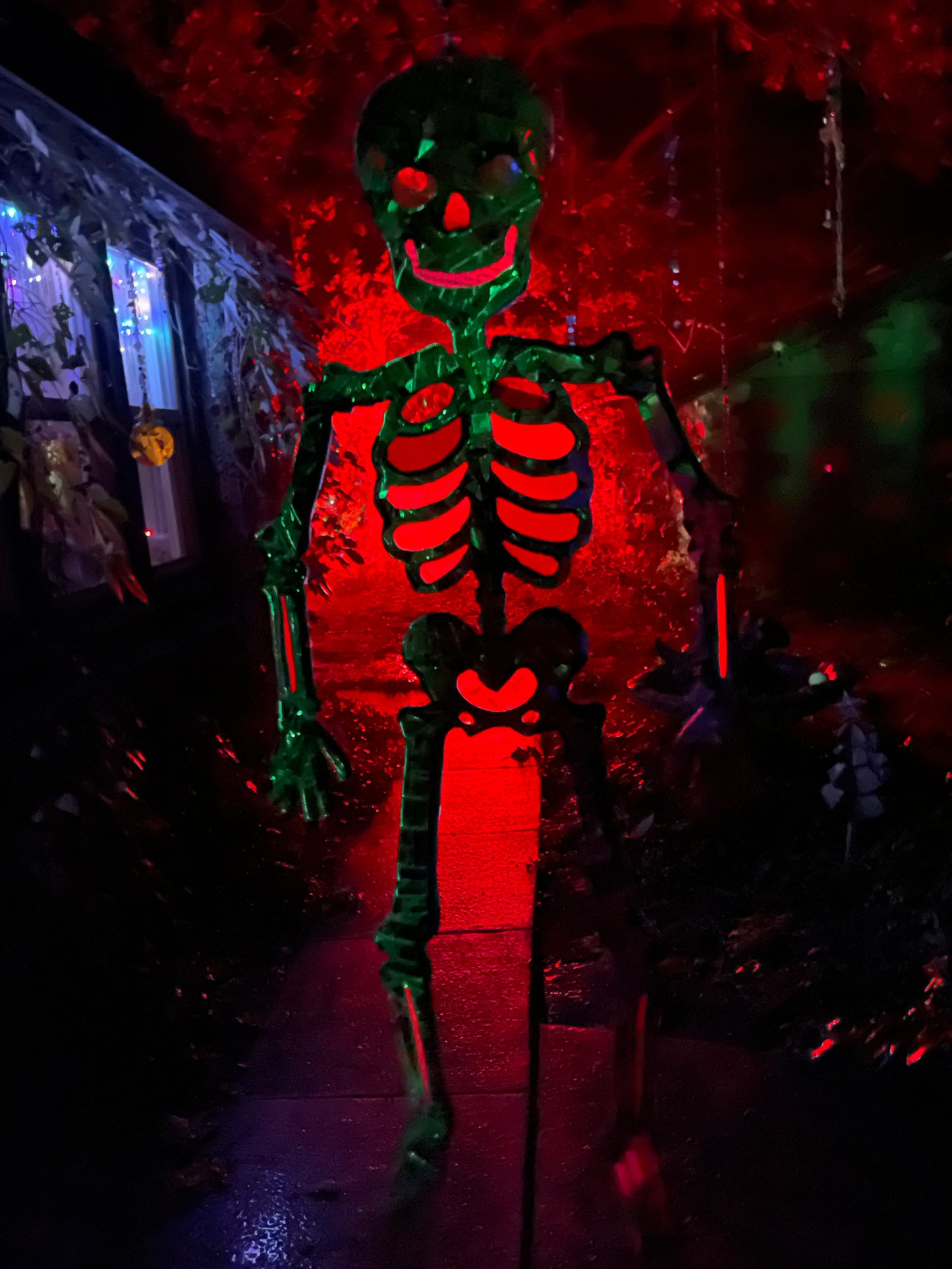 Dazzling Mirror Mosaic Skeleton 30+”