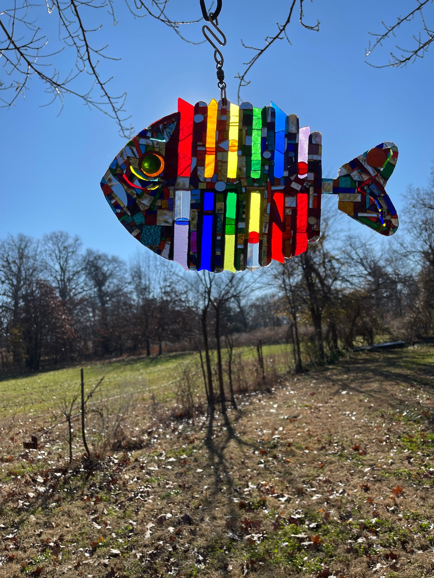 Rainbow Fish Sun Catcher Glows and Sparkles